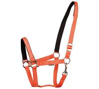 Cabezada acolchada para caballos Harry's Horse Shetland