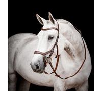 Cabezada anatómica Horseware Micklem 2 Mazorca/Grande