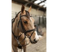 Cabezada combinada con muserola HFI Pro Line Milano Cob