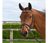 Cabezada combinada inglesa con muserola anatómica Jump'In Clincher Origin Cob