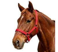 Cabezada Con Cuerda De Guía Para Caballo Arnés Ecuestre Ajustable Para El
