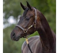 Cabezada Cuadra Caballo/Poni Piel Placa CS