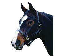 Cabezada Cuadra de cuero para caballos Weatherbeeta Collegiate Comfitec Pony