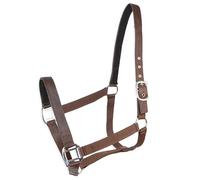 Cabezada cuadra Eco | Talla COB | Color Marrón | Equipamiento para el caballo | Producto de Guarnicionería | Tradición artesana | Los Nietos