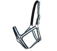 Cabezada cuadra Eco | Talla PONY | Color Verde Andalucía | Equipamiento para el caballo | Producto de Guarnicionería | Tradición artesana | Los Nietos