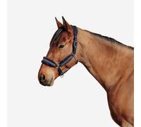 Cabezada Cuadra Equitación Caballo Azul Negro Confort FS