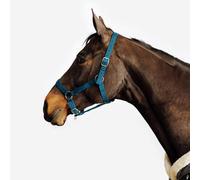 Cabezada Cuadra Equitación Caballo/Poni Schooling Azul Verdoso PS