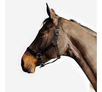 Cabezada Cuadra Equitación Caballo/Poni Schooling Negro XFS