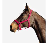 Cabezada Cuadra Equitación Caballo/Poni Schooling Rojo Cereza PS