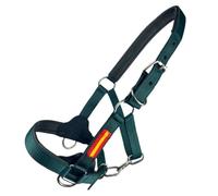 Cabezada cuadra nylon extra Los Nietos Dressage | Talla FULL | Color Verde | Equipamiento para el caballo | Producto de Guarnicionería | Tradición artesana | Los Nietos