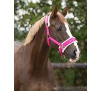 Cabezada de cuadra Cavesson QHP - Negro / cob