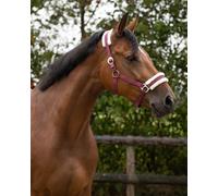 Cabezada de cuadra Head collar Cali QHP - Bright red / Mini Shet