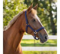 Cabezada de cuadra Head collar con forro QHP - Marino / Shet