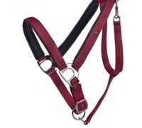 Cabezada de cuadra Head collar Deluxe draft horse QHP - Negro