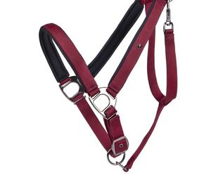 Cabezada de cuadra Head collar Deluxe draft horse QHP - Negro