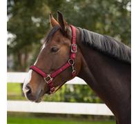 Cabezada de cuadra Head collar Deluxe QHP - Burdeos / Pony