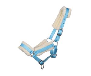 Cabezada de cuadra Head collar potro con fur QHP - Baby-blue / Shet