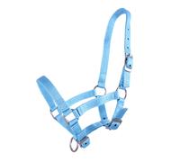 Cabezada de cuadra Head collar potro QHP - Baby-blue / Full