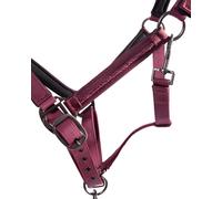 Cabezada de cuadra Head collar set Lily QHP - Bo / 4