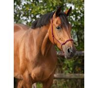 Cabezada de cuadra Rope halter basic QHP - Burdeos / cob