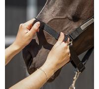 Cabezada de cuadra Tack up halter QHP - Pony