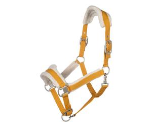 Cabezada de cuadras Lauria Garrelli Head Collar Arezzo - Mustard / Pony