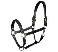 Cabezada de cuero acolchada para caballos Harry's Horse Cob