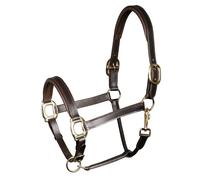 Cabezada de cuero acolchada para caballos Harry's Horse Completo