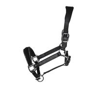 Cabezada de cuero -Glamour- - Negro / Plateado / Cob