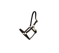 Cabezada de nylon para caballo Kentucky Full