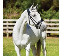 Cabezada equitación Weatherbeeta Therapy-Tec L