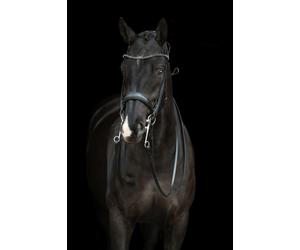 Cabezada HKM Double Bridle Grace - Pony