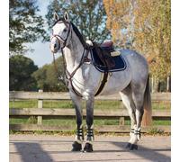 Cabezada inglesa Cabezada inglesa Ontario incl. reins QHP - Marrón / Full