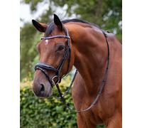 Cabezada inglesa Cabezada inglesa Orlando incl. reins QHP - Black/brown / cob