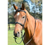 Cabezada para caballo con riendas Kincade Classic Mestizo