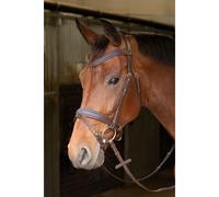 Cabezada para caballos Harry's Horse Havanna Full