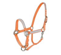 Cabezada para caballos Horze Pony
