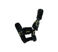 Cabezada para ovejas Kentucky Full