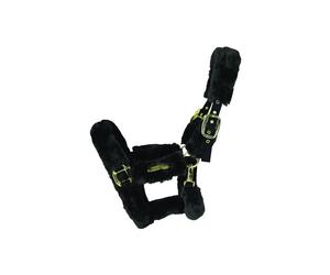 Cabezada para ovejas Kentucky Full