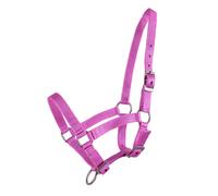 QHP Cabezada de Potro, Rosa - Full-Potros QHP