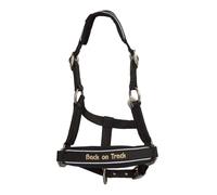Cabezada reflectante para caballos Back on Track Werano Cob