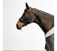 Cabezada Sin Bocado Equitación Caballo/Poni Negro FS