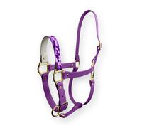 Cabezada Violet Soldier Sparkle Unicorn