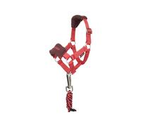 Cabezada y cuerda para peluche LeMieux Toy Pony TU