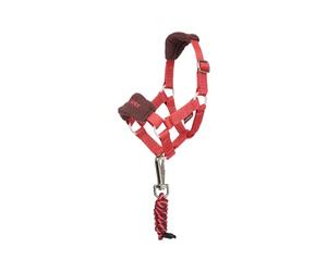 Cabezada y cuerda para peluche LeMieux Toy Pony TU