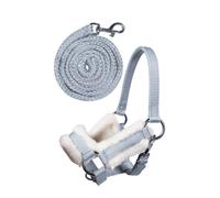 Cabezada y ramal -Hobby Horsing- HKM - gris / Única