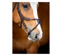 Cabezadas de cuero vegano Montar Lyon Fig 8 Jumping ECO Cob
