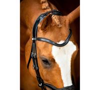 Cabezadas de cuero vegano Montar Monarch Jumping ECO Cob
