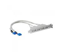 Cabezal bracket startech 4x usb 2.0