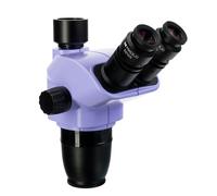 Cabezal de microscopio magus stereo 7th